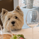 Image for article titled Sainsbury’s opens a pop-up restaurant for dogs this holiday season